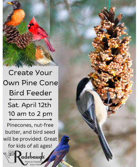 Create Your Own Pinecone Bird Feeder - April 12th