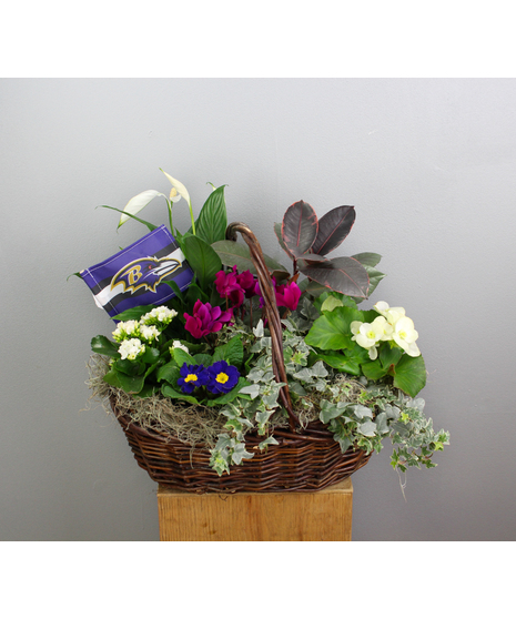 Purple Passion - Assorted Green and Blooming Basket