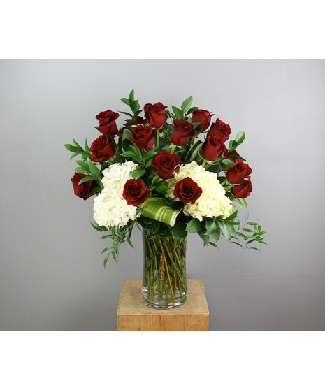 Create a stunning display with our arrangement of 2 dozen Red Explorer Roses accented by premium greenery. 