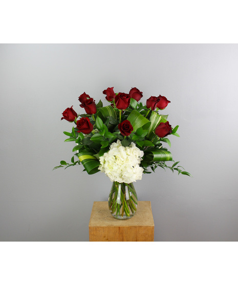 You Belong With Me - One Dozen Premium Red Roses with White Hydrangea