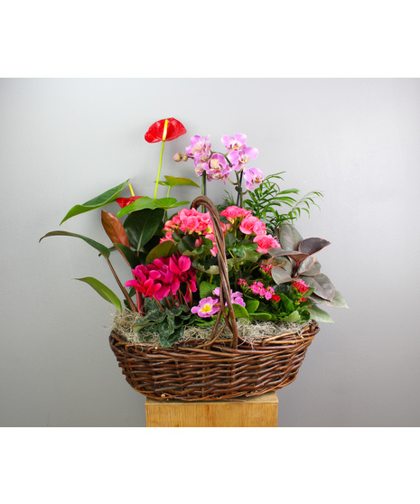 Garden Of Love - Valentine's Green and Blooming Country Basket