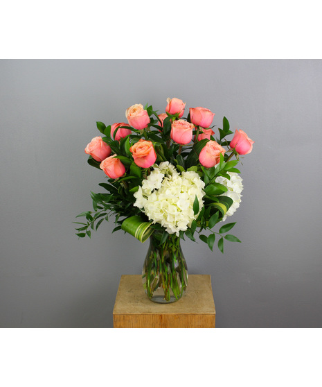 One Dozen Premium Peach Roses with White Hydrangea