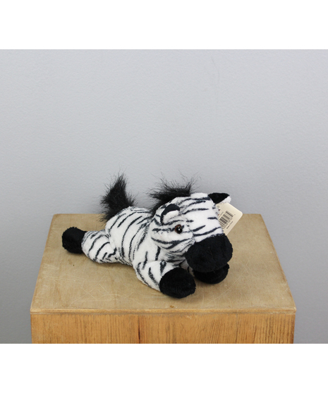 With her soft, striped fur in classic black and white, Zinnia is as cuddly as she is charming.